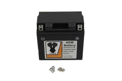 Mini AGM 12 Volts 6 Amp Mini Battery for Harley & Customs